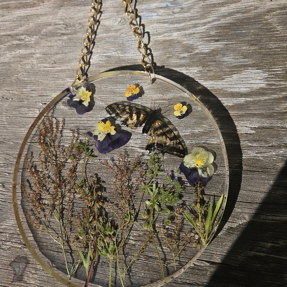 Real Swallowtail Butterfly looking glass hanger🌿✨️🦋